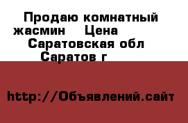 Продаю комнатный жасмин. › Цена ­ 1 000 - Саратовская обл., Саратов г.  »    